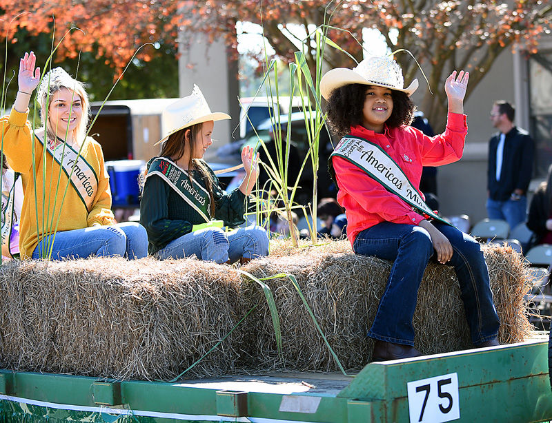 National Peanut Festival Parade 2019